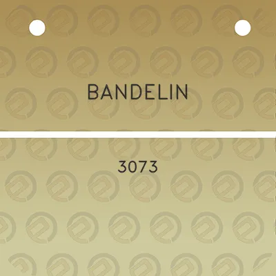 bandelin-3073