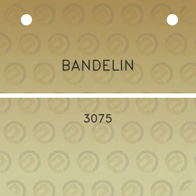 bandelin-3075