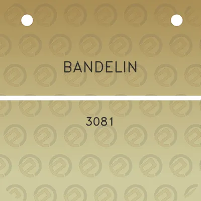 bandelin-3081