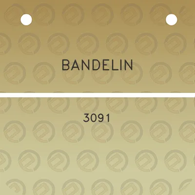 bandelin-3091