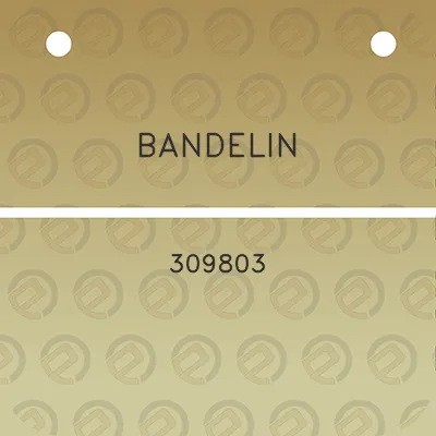 bandelin-309803