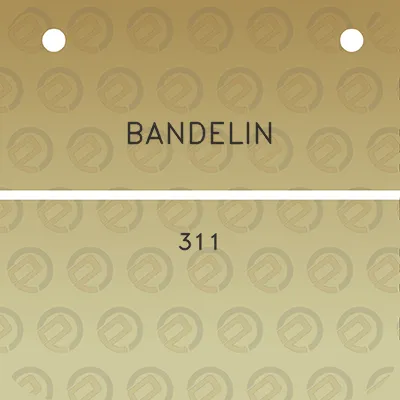 bandelin-311