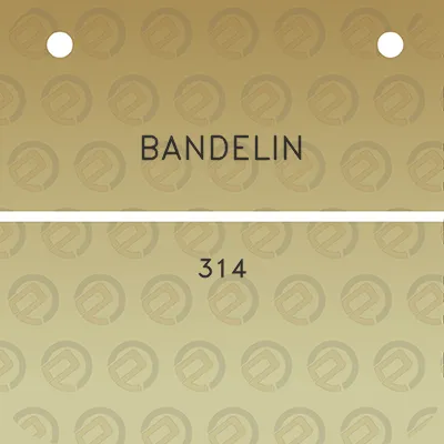 bandelin-314