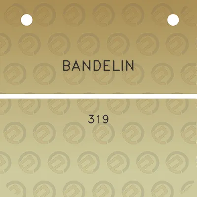 bandelin-319