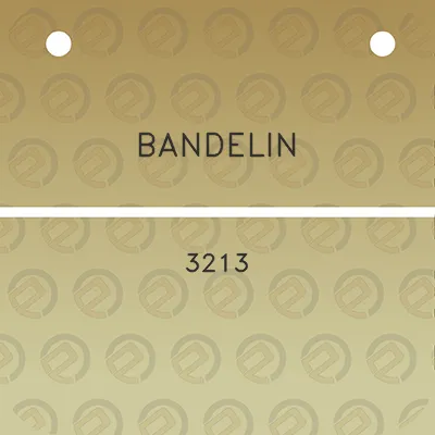 bandelin-3213