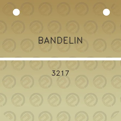 bandelin-3217