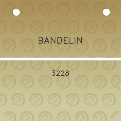 bandelin-3228