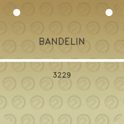 bandelin-3229