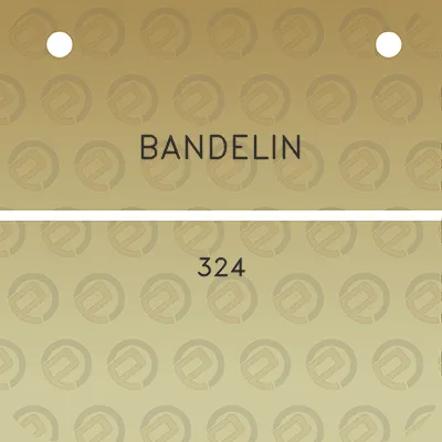 bandelin-324