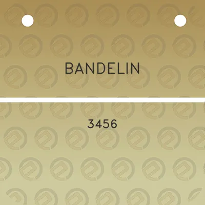 bandelin-3456