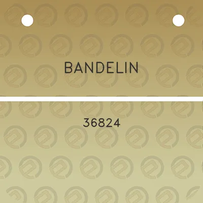 bandelin-36824