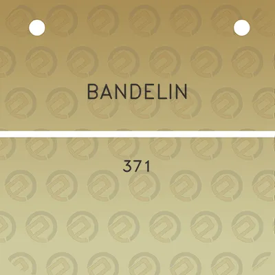 bandelin-371