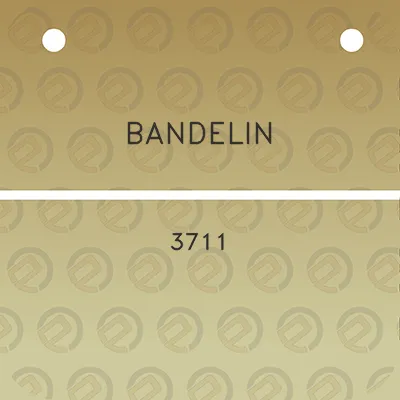 bandelin-3711