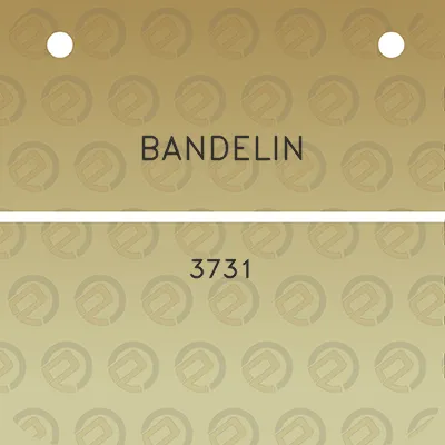 bandelin-3731