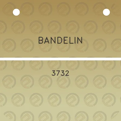 bandelin-3732