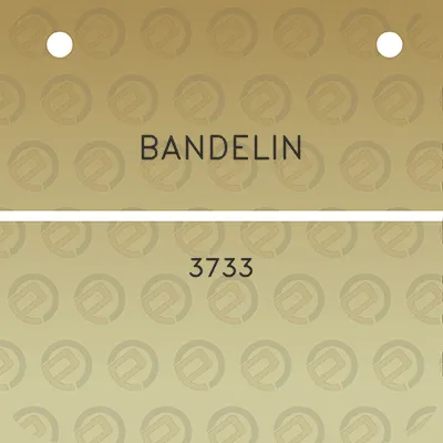 bandelin-3733