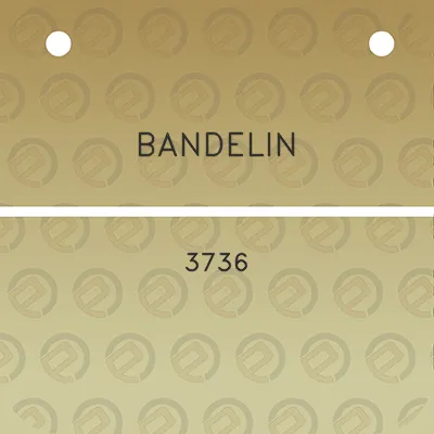 bandelin-3736