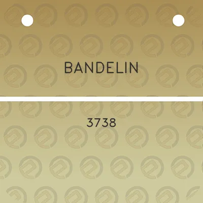 bandelin-3738