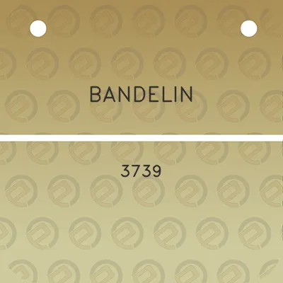 bandelin-3739