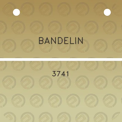 bandelin-3741