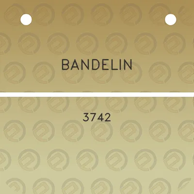 bandelin-3742