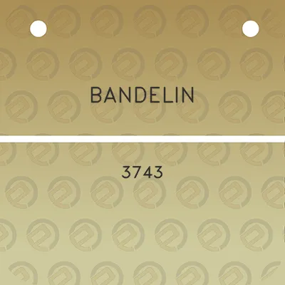 bandelin-3743