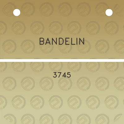 bandelin-3745