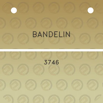 bandelin-3746