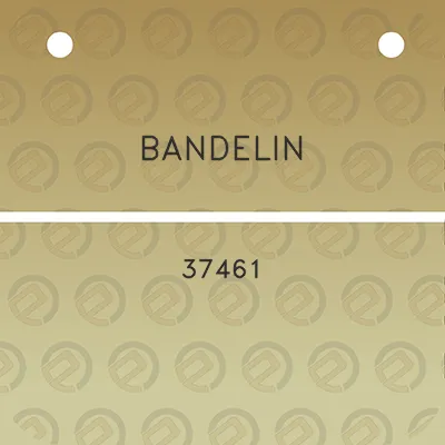 bandelin-37461