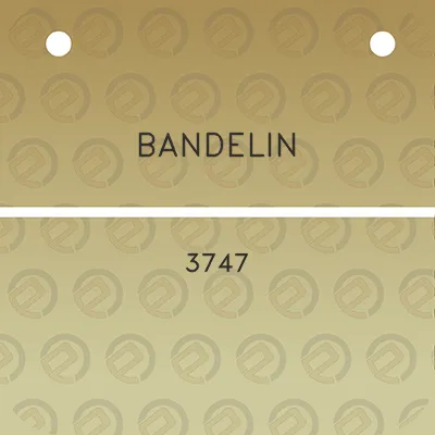 bandelin-3747