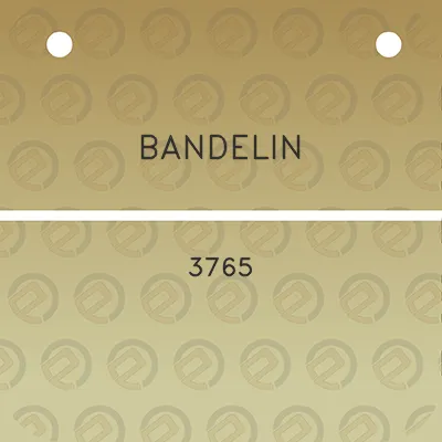 bandelin-3765