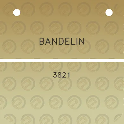 bandelin-3821