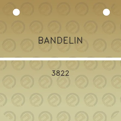 bandelin-3822