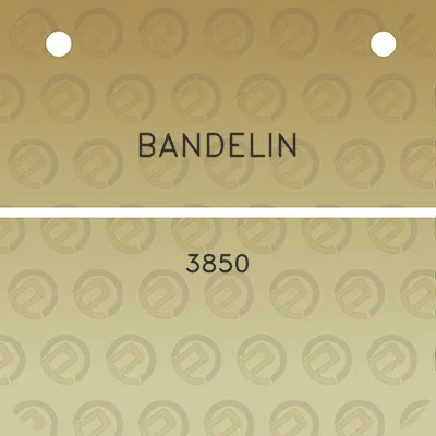 bandelin-3850