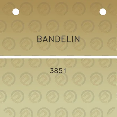 bandelin-3851