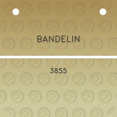 bandelin-3855