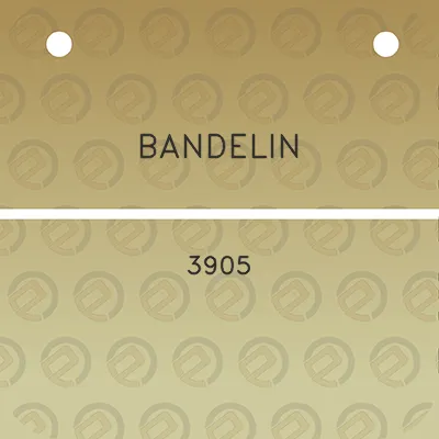 bandelin-3905