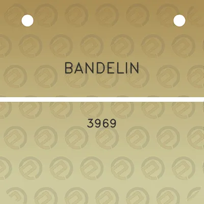 bandelin-3969