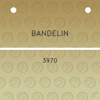 bandelin-3970