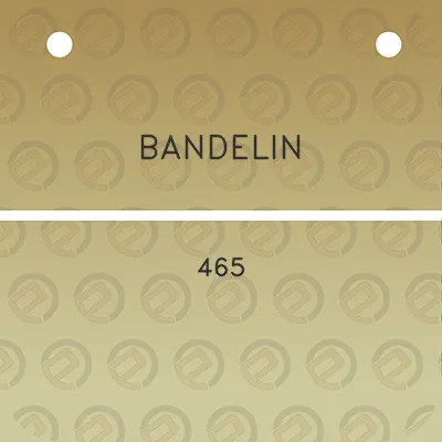 bandelin-465