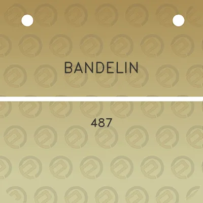 bandelin-487