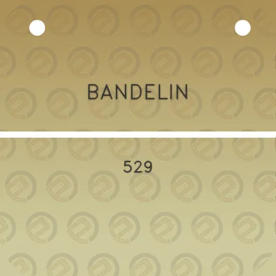 bandelin-529