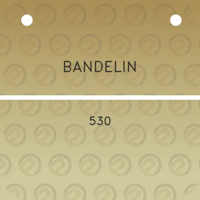 bandelin-530