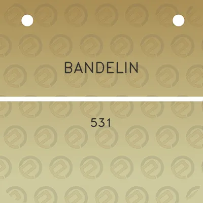 bandelin-531