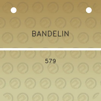 bandelin-579