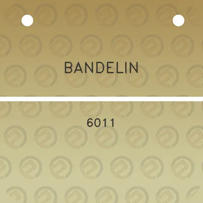 bandelin-6011