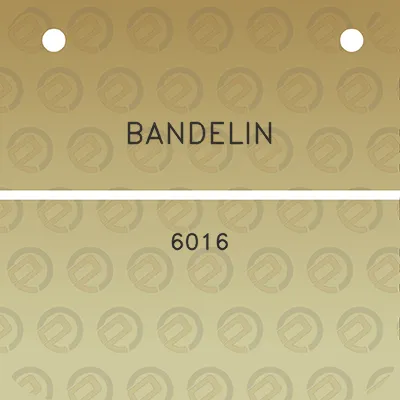 bandelin-6016