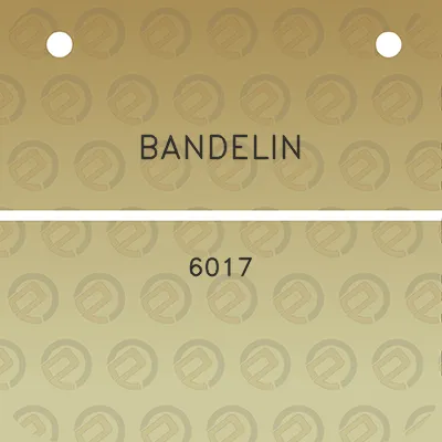 bandelin-6017