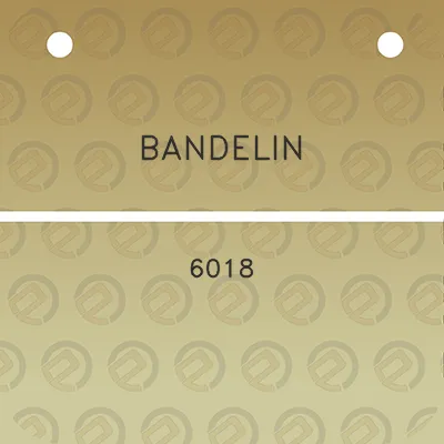 bandelin-6018