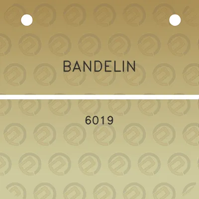 bandelin-6019